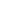 TikTok Icon
